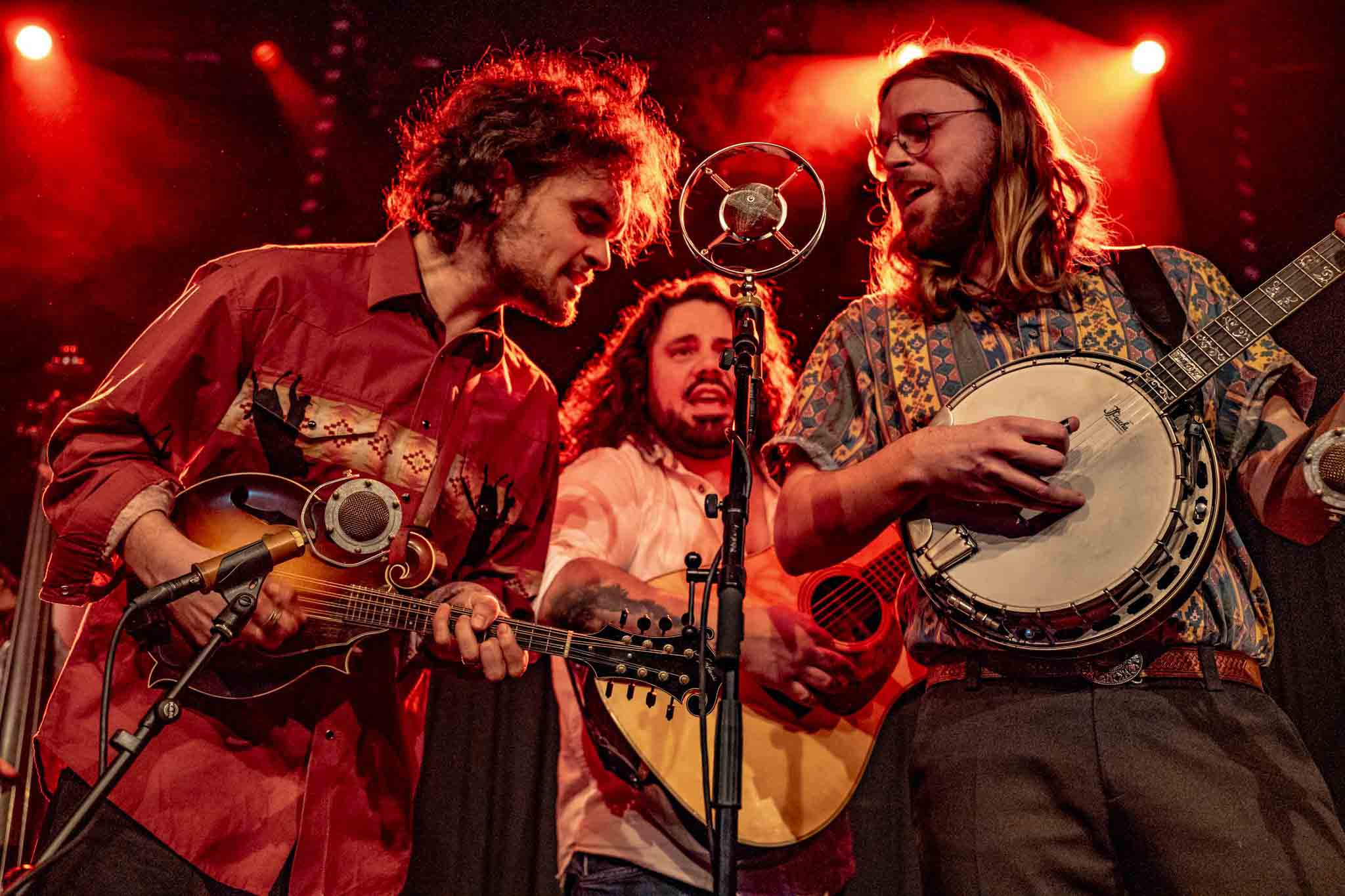 2026 Bluegrass Festival Harmonie Bonn Konzert foto Johnny and the Yooahoos - Harmonie Bonn 2026