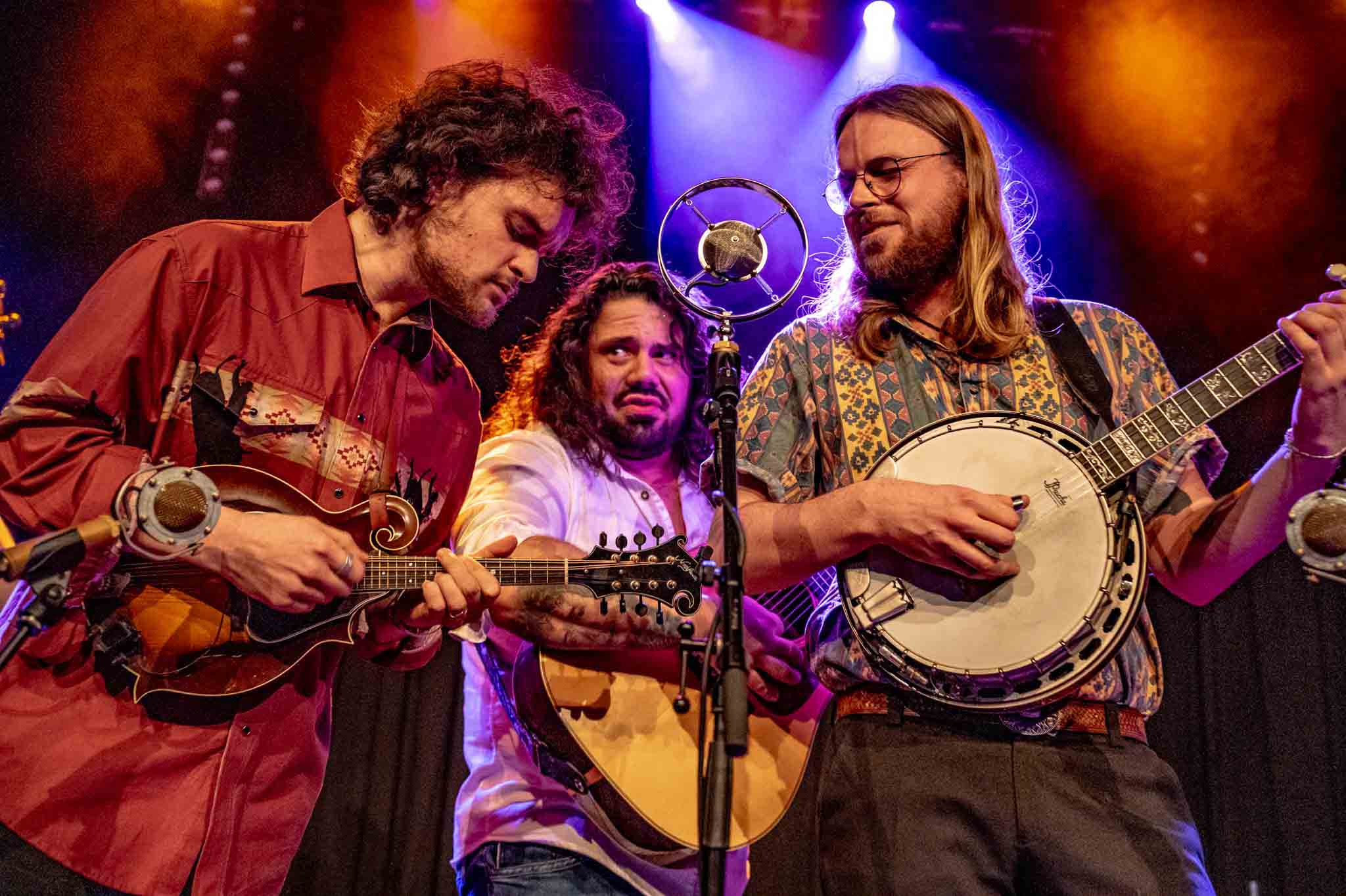 2026 Bluegrass Festival Harmonie Bonn Konzert foto Johnny and the Yooahoos - Harmonie Bonn 2026