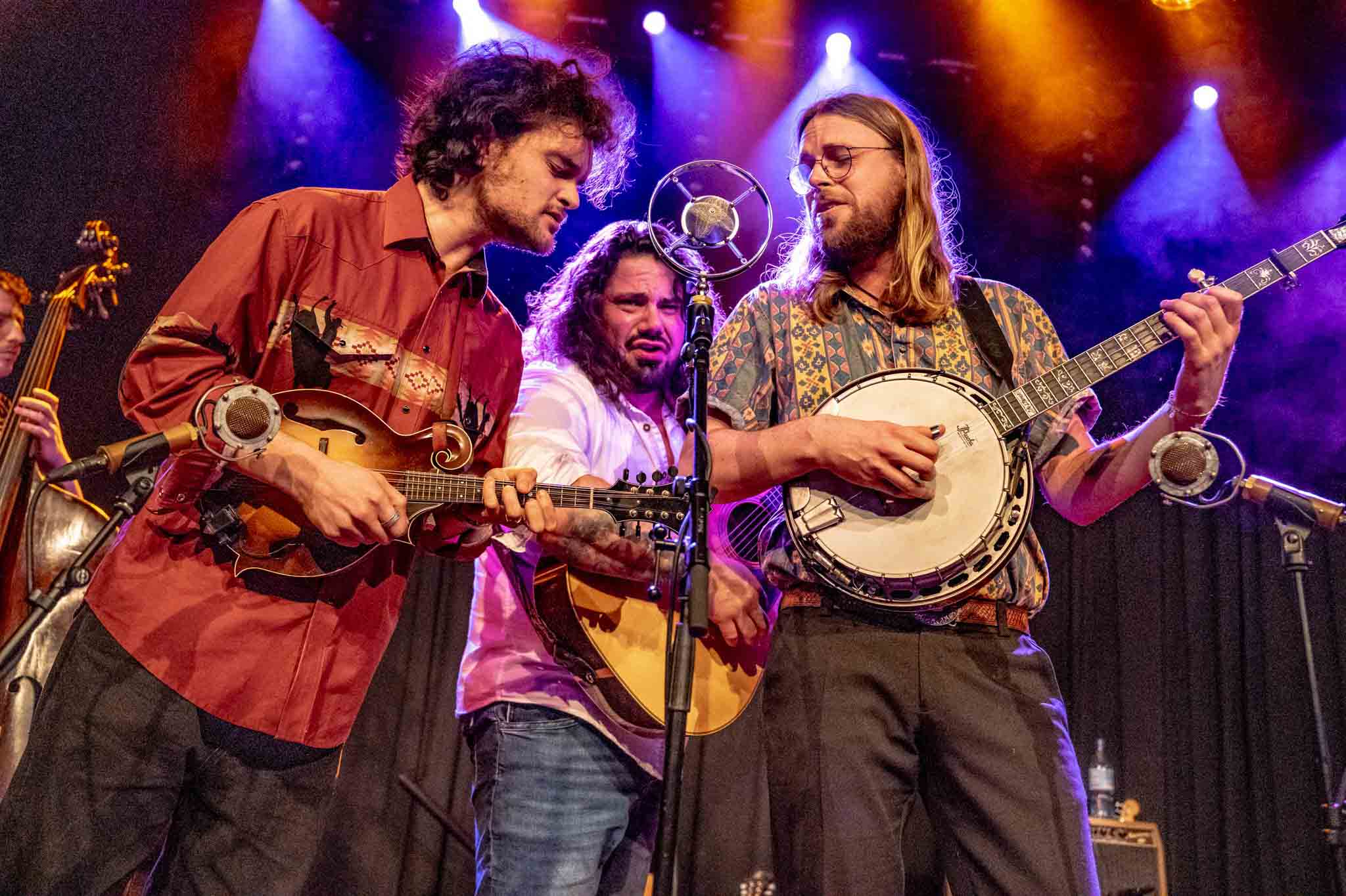 2026 Bluegrass Festival Harmonie Bonn Konzert foto Johnny and the Yooahoos - Harmonie Bonn 2026