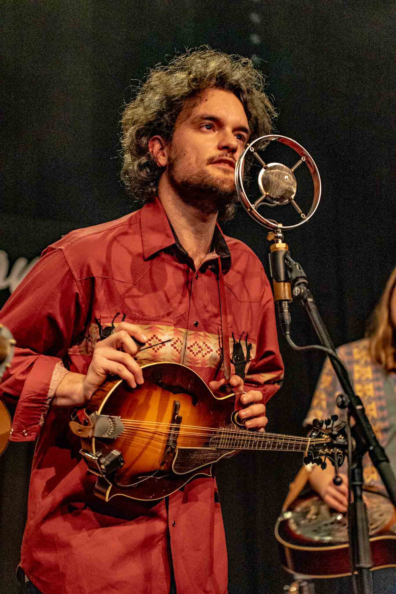 2026 Bluegrass Festival Harmonie Bonn Konzert foto Johnny and the Yooahoos - Harmonie Bonn 2026