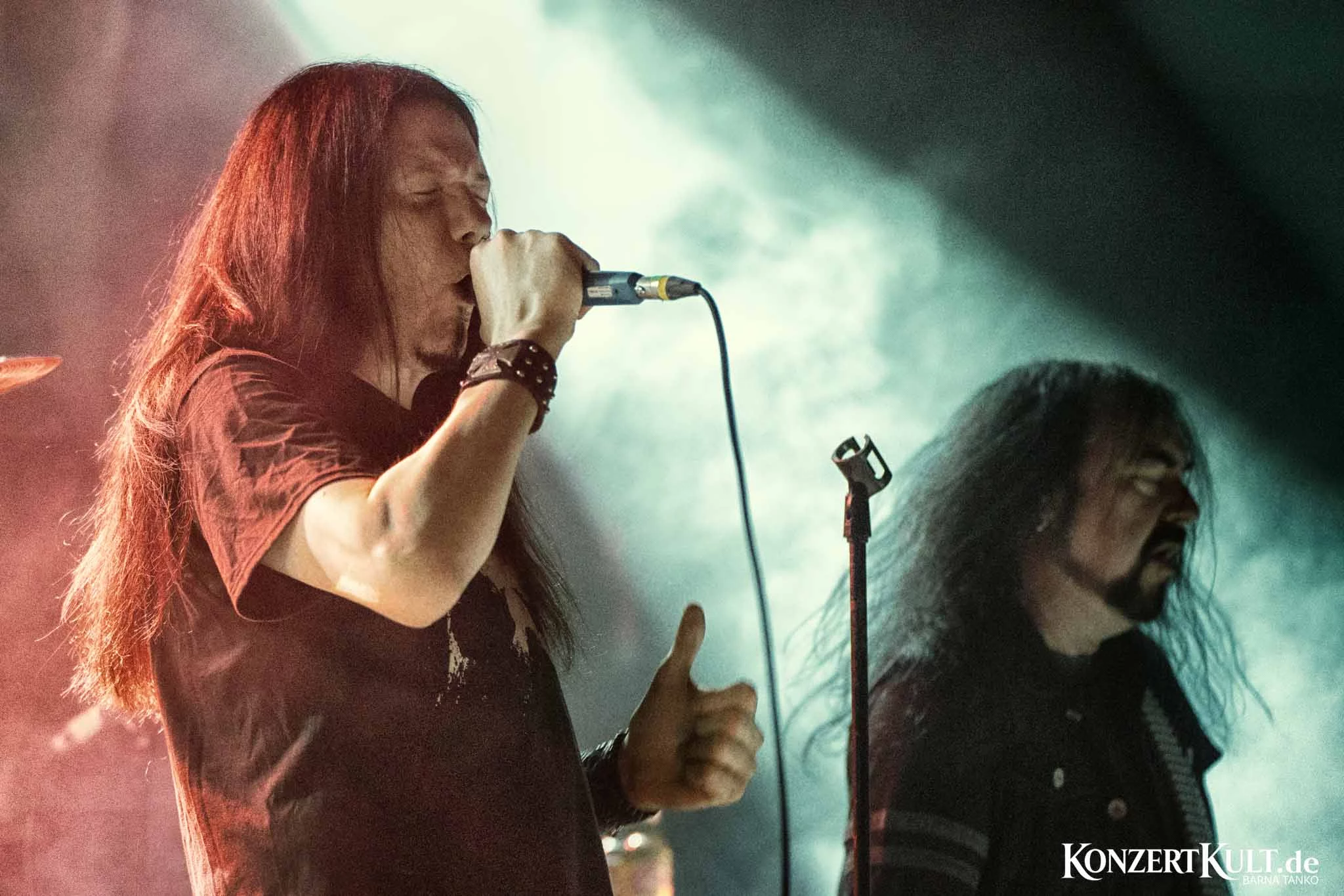 Embryonic Autopsy Embryonic Autopsy