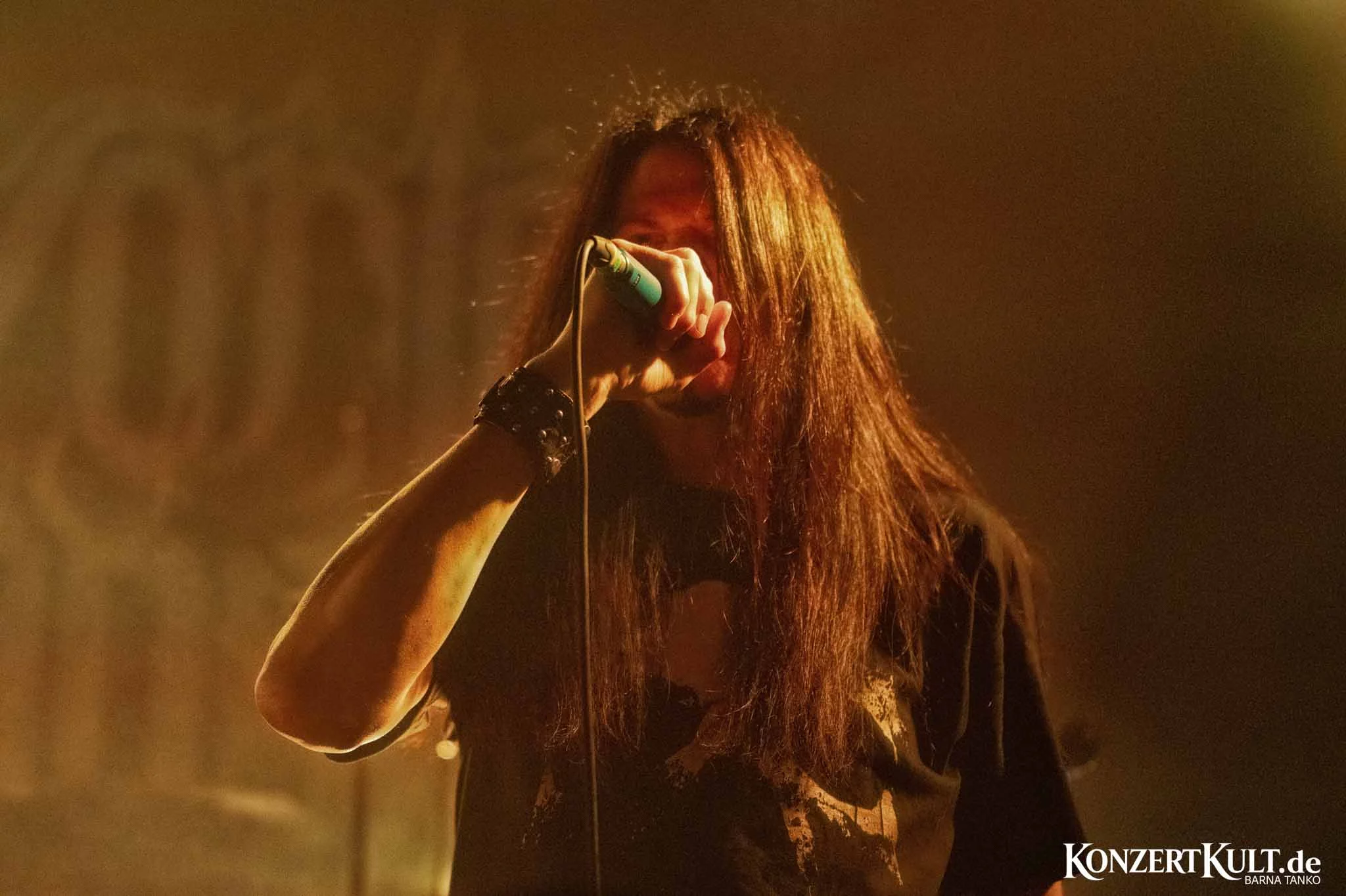 Embryonic Autopsy Embryonic Autopsy