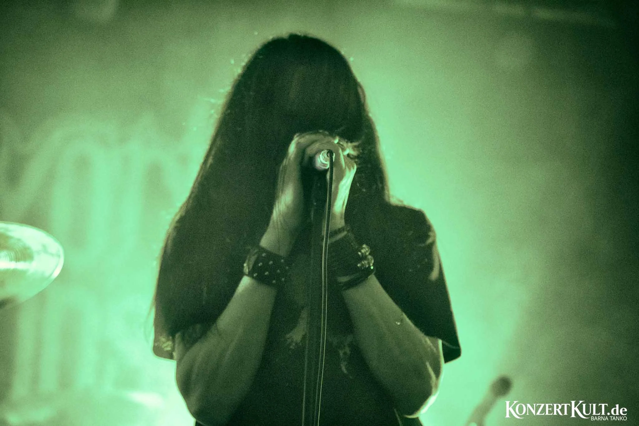 Embryonic Autopsy Embryonic Autopsy