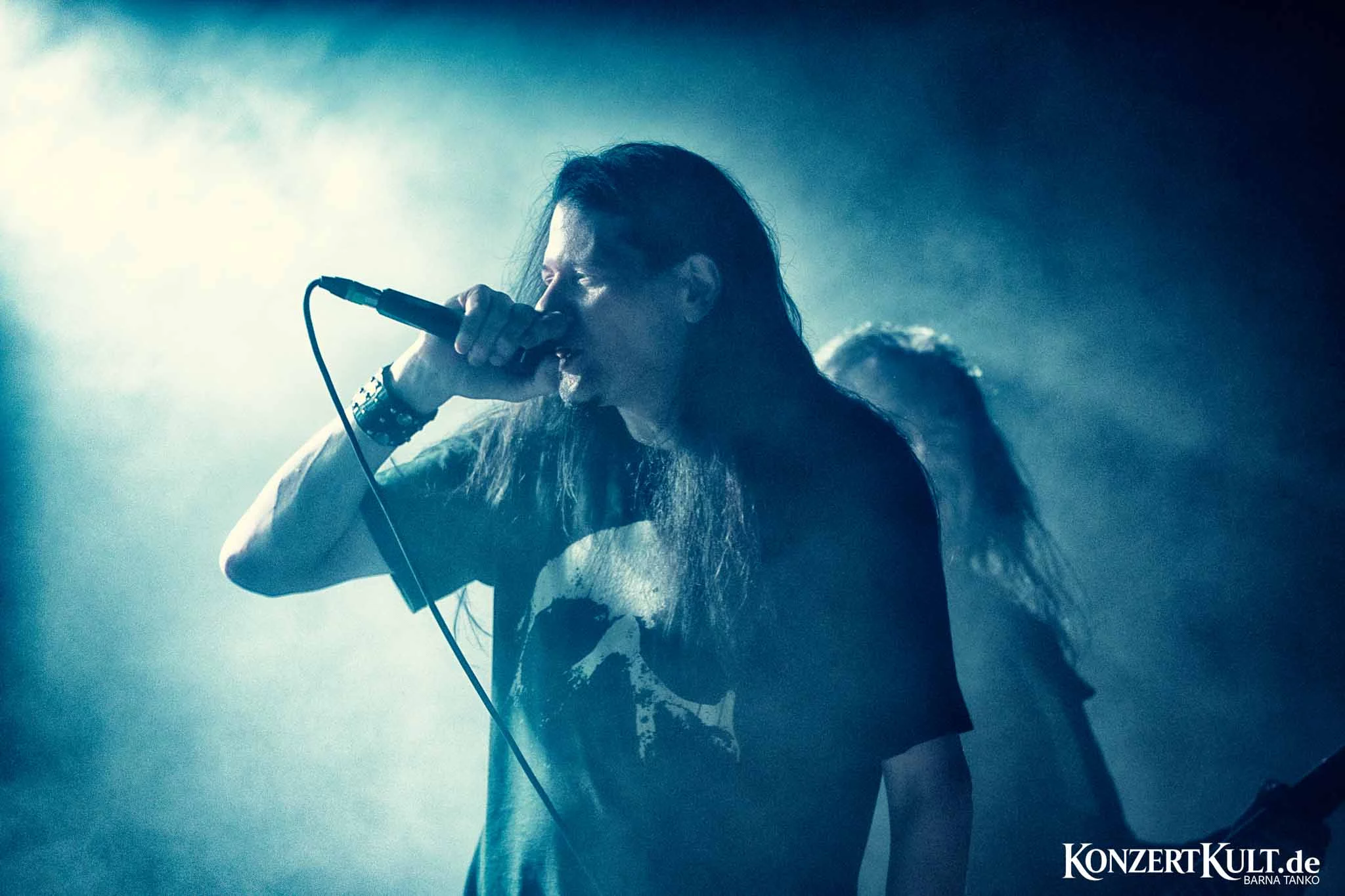 Embryonic Autopsy Embryonic Autopsy