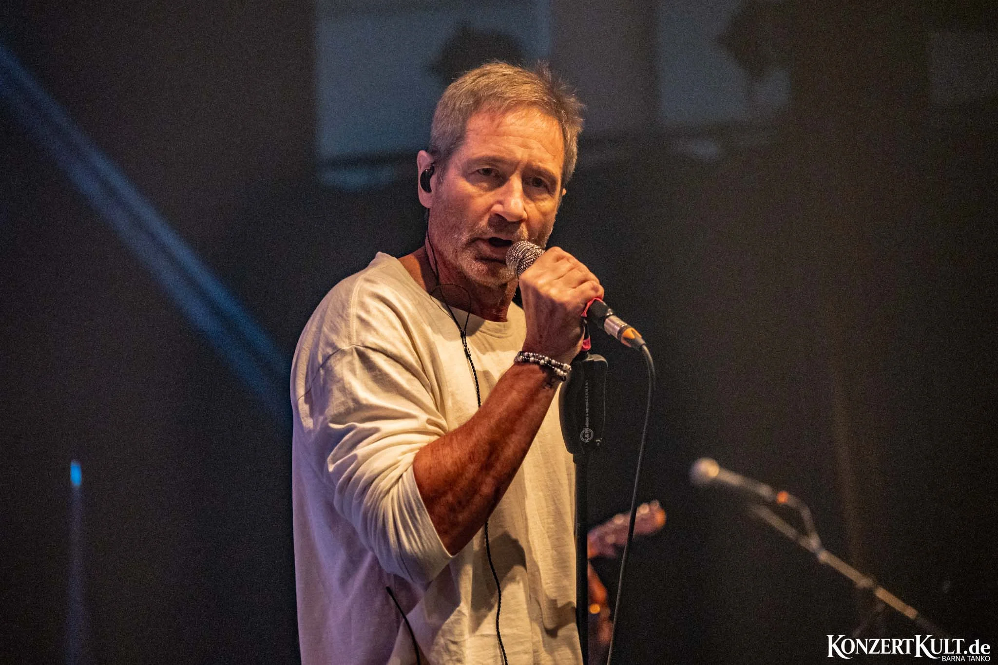 David Duchovny David Duchovny 2026 at Bürgerhaus Stollwerck in Köln