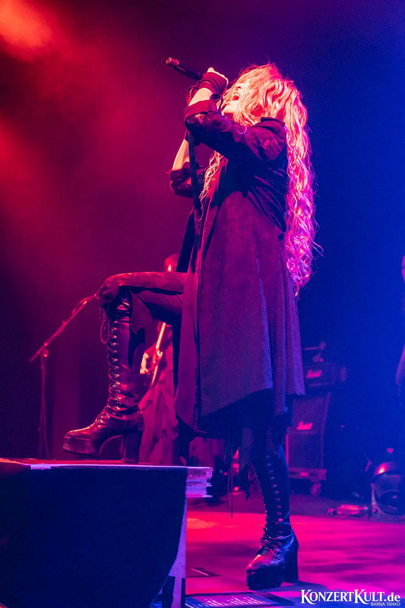 Kamijo Kamijo 2026 at Die Kantine in Köln